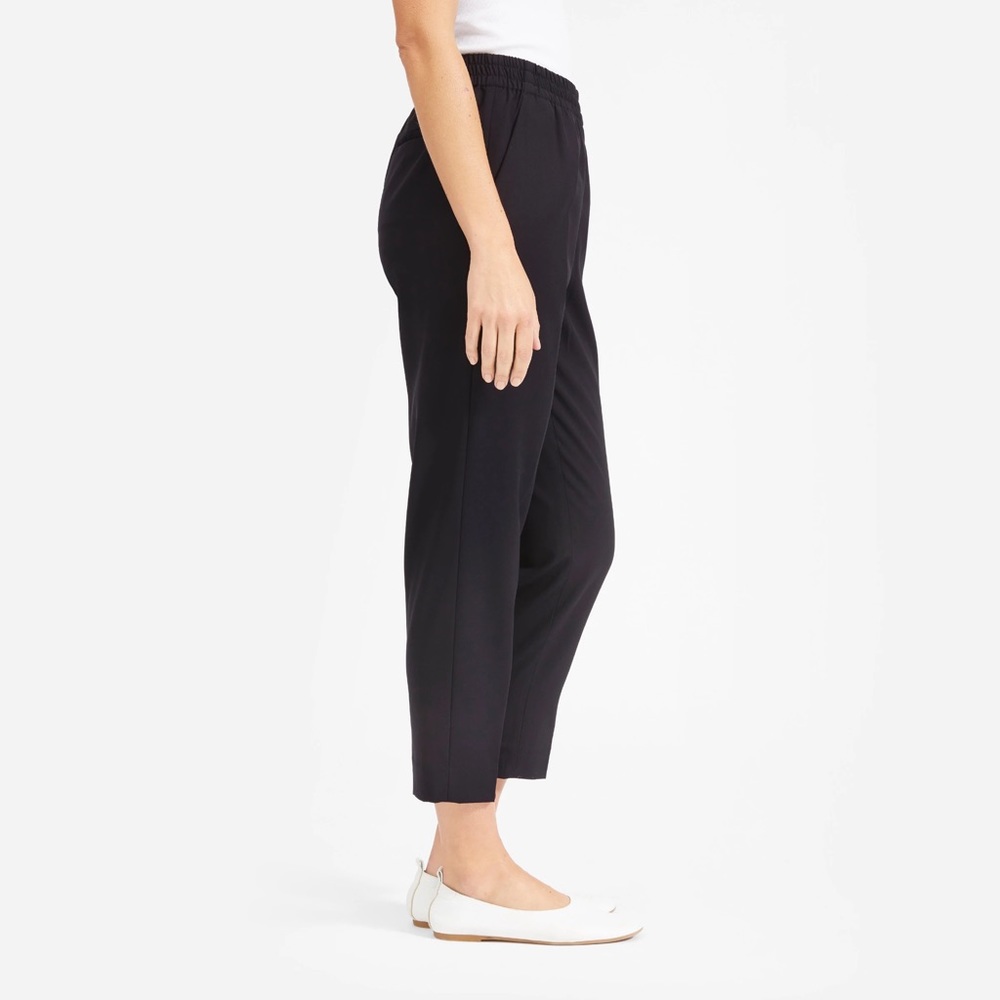 Everlane 100% wool trousers 8